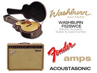 washburn-fender